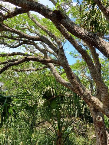 123 MARLIN DRIVE, Ormond By The Sea, FL 32176