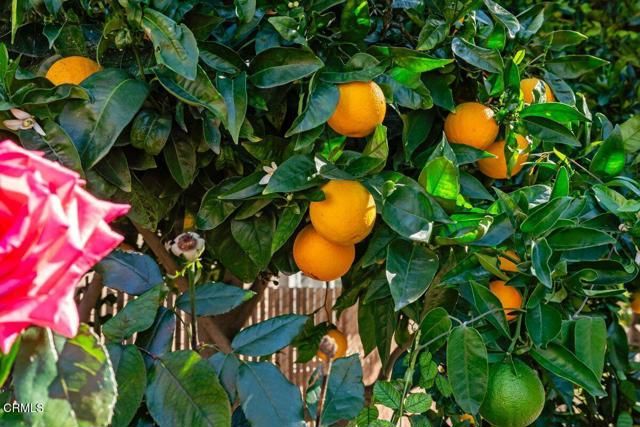 2764 Petit Street, Camarillo, CA 93012