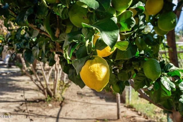 2764 Petit Street, Camarillo, CA 93012