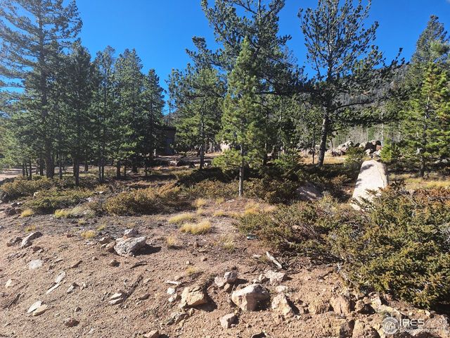 15 Spokane Ct, Red Feather Lakes, CO 80545