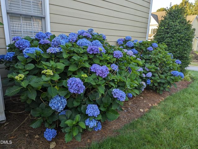 115 Poplar Branch Lane, Cary, NC 27519