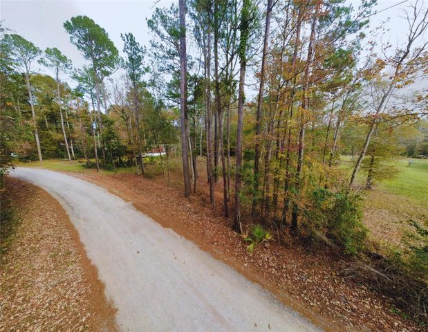 0 L Denson Road, Coldspring, TX 77331