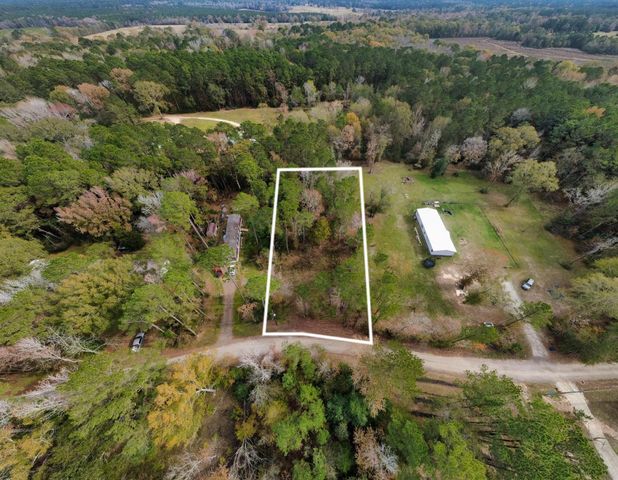 0 L Denson Road, Coldspring, TX 77331