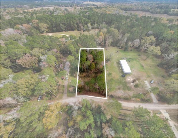 0 L Denson Road, Coldspring, TX 77331