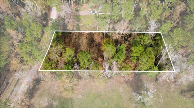 0 L Denson Road, Coldspring, TX 77331