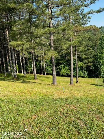 LT 54 Pinehurst Road, Blairsville, GA 30512