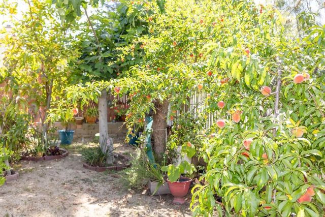 32391 Galatina, Temecula, CA 92592