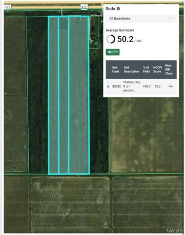 0 Highway 412, Hayti, MO 63851