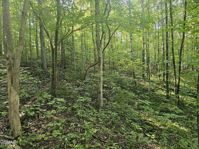 2 Franklin Lane, Sevierville, TN 37876