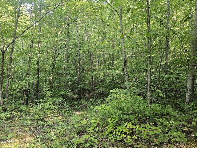 2 Franklin Lane, Sevierville, TN 37876