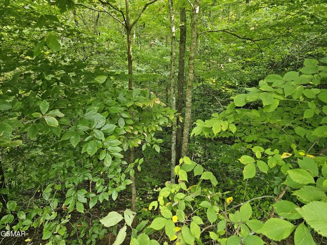 2 Franklin Lane, Sevierville, TN 37876