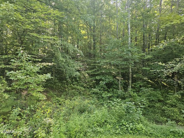 2 Franklin Lane, Sevierville, TN 37876