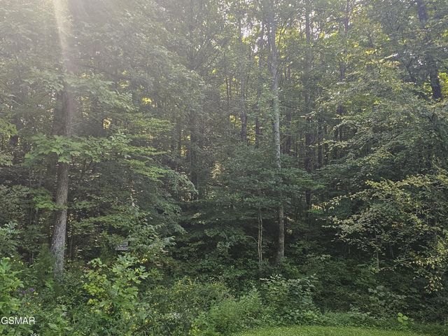 2 Franklin Lane, Sevierville, TN 37876