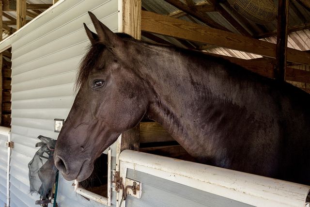 4505 Olde Plantation Place, Destin, FL 32541