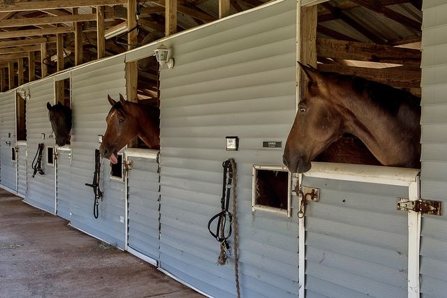 4505 Olde Plantation Place, Destin, FL 32541