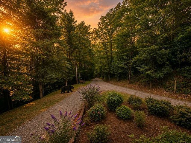 728 Deer Lane, Hiawassee, GA 30546