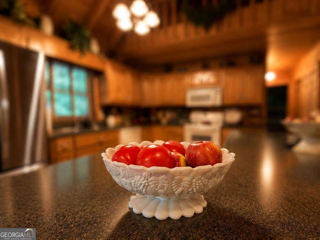728 Deer Lane, Hiawassee, GA 30546