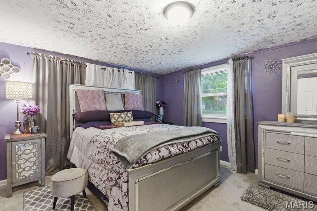 328 S Dellwood Drive, Ferguson, MO 63135