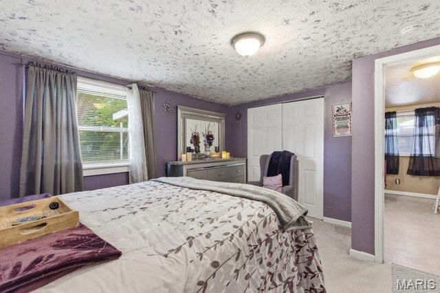 328 S Dellwood Drive, Ferguson, MO 63135