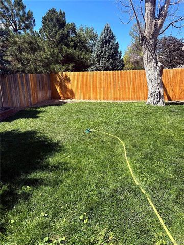 13043 Hudson Street, Thornton, CO 80241