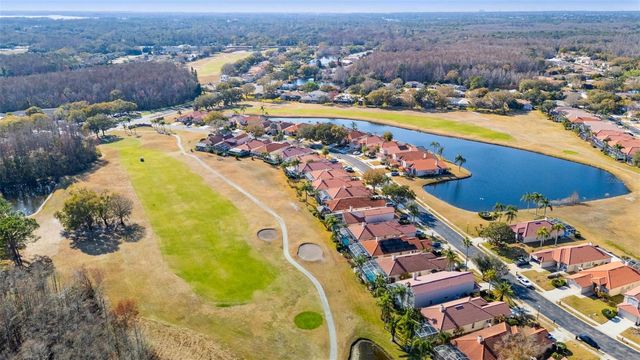 1040 DARTFORD DRIVE, Tarpon Springs, FL 34688