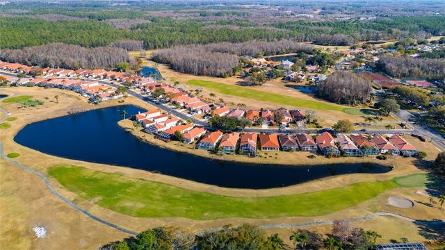 1040 DARTFORD DRIVE, Tarpon Springs, FL 34688