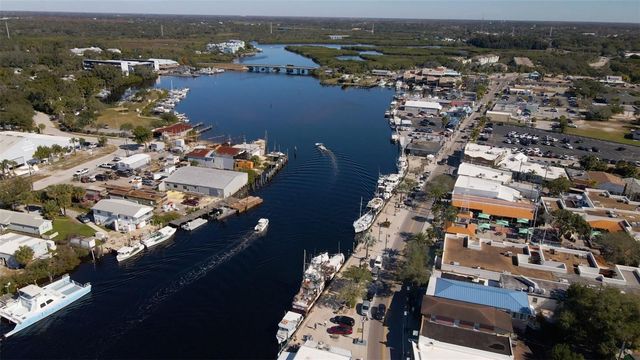 1040 DARTFORD DRIVE, Tarpon Springs, FL 34688