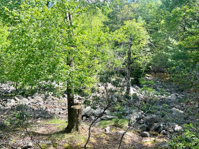 15 Chalet Court, Kidder Twp, PA 18624