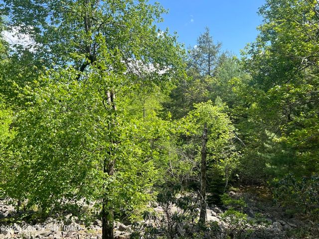 15 Chalet Court, Kidder Twp, PA 18624