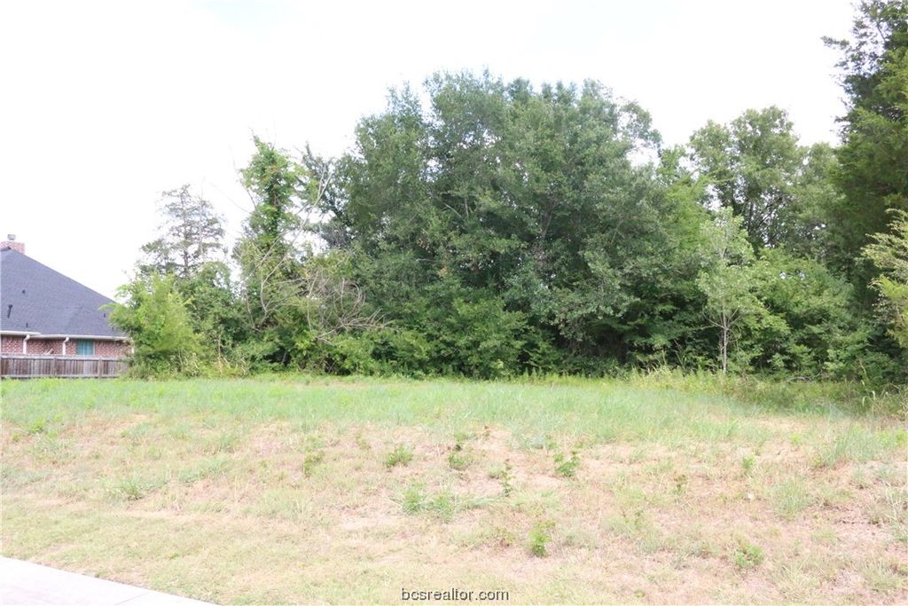 2105 Cids Lane, Bryan, TX 77807 — photo 2