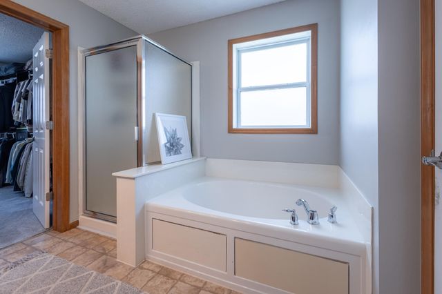 13858 Autumn Path, Rosemount, MN 55068