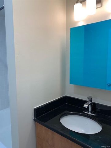 312 Main Street 3E, White Plains, NY 10601