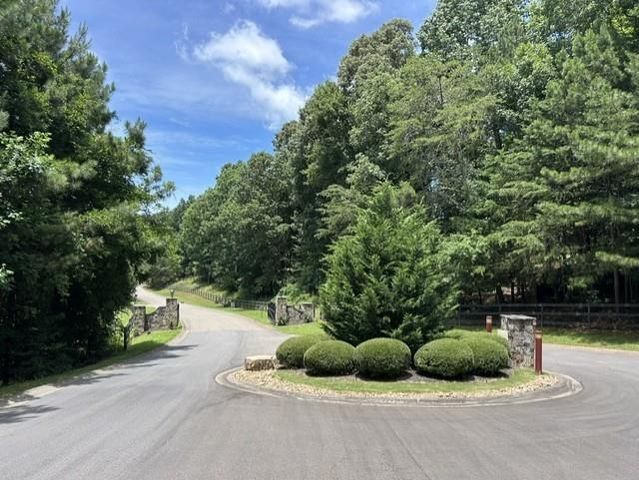 41 Birmingham Road, Ball Ground, GA 30107