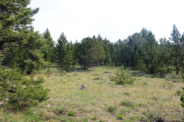 13620 Independence, Idaho Springs, CO 80461
