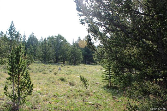 13620 Independence, Idaho Springs, CO 80461