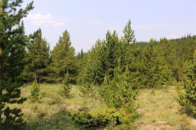 13620 Independence, Idaho Springs, CO 80461