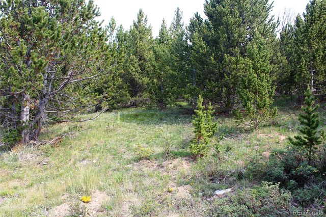 13620 Independence, Idaho Springs, CO 80461