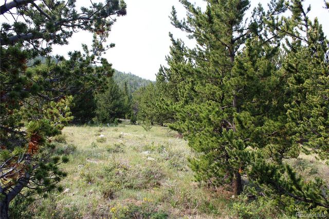 13620 Independence, Idaho Springs, CO 80461