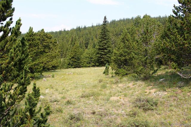 13620 Independence, Idaho Springs, CO 80461