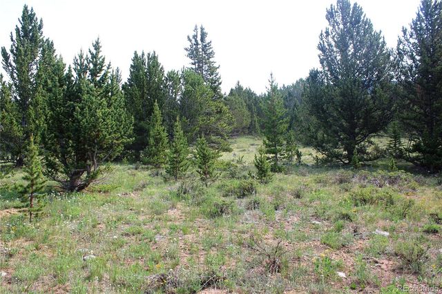 13620 Independence, Idaho Springs, CO 80461