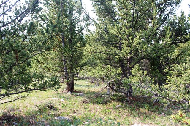 13620 Independence, Idaho Springs, CO 80461