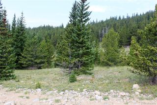 13620 Independence, Idaho Springs, CO 80461