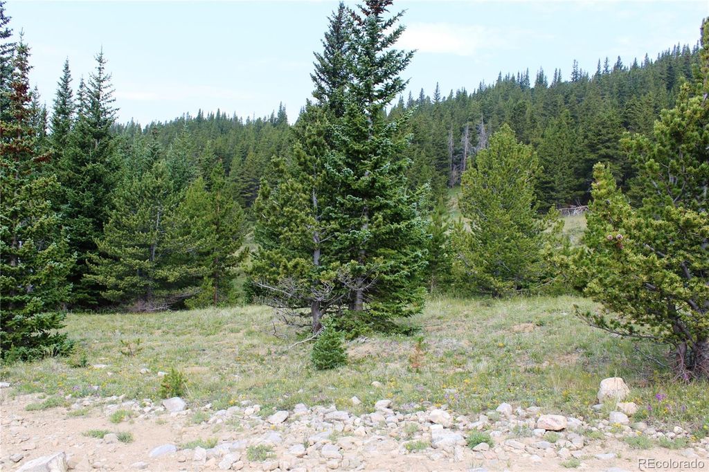 13620 Independence, Idaho Springs, CO 80461