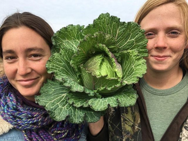 406 Lemon Drop Lane, Richmond, TX 77406