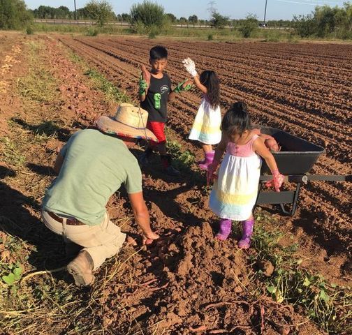 406 Lemon Drop Lane, Richmond, TX 77406