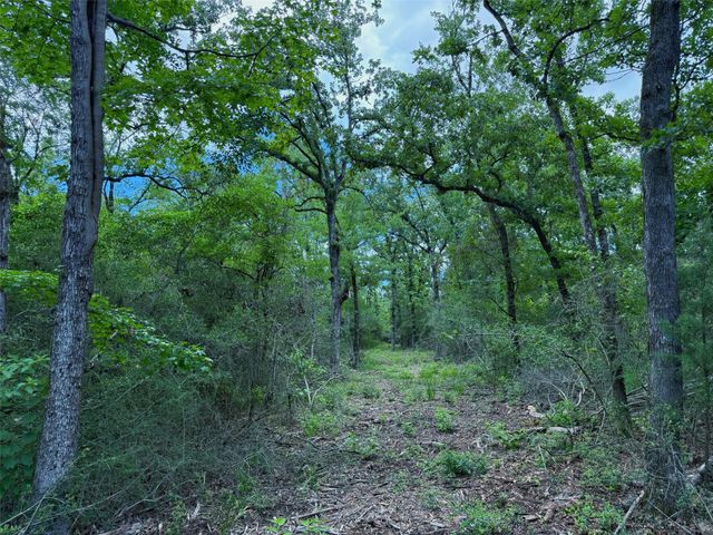 TBD Cr 295, Oakwood, TX 75855
