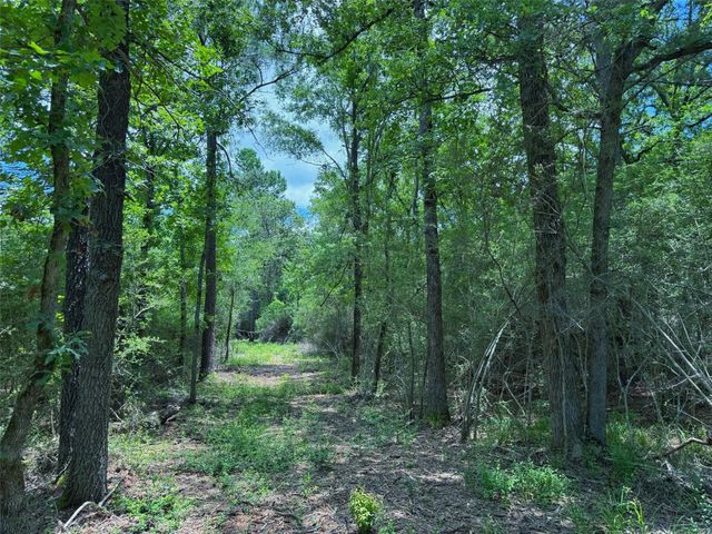 TBD Cr 295, Oakwood, TX 75855