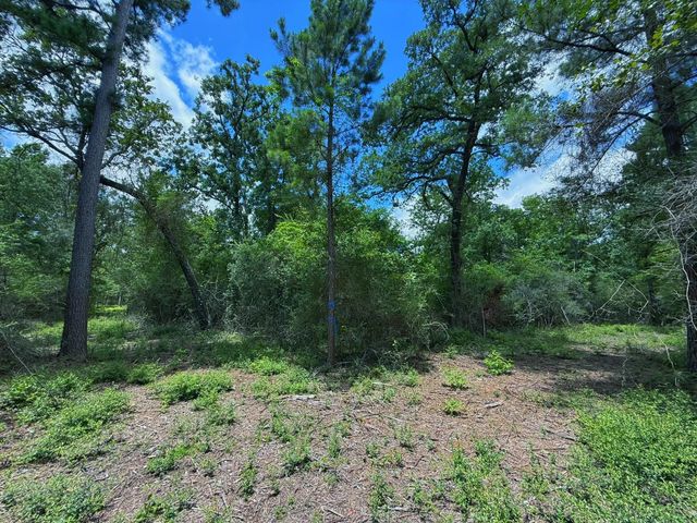 TBD Cr 295, Oakwood, TX 75855