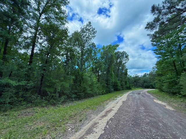 TBD Cr 295, Oakwood, TX 75855