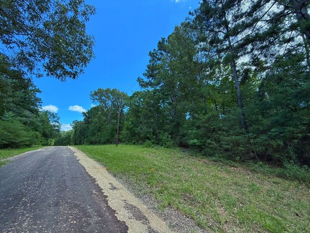 TBD Cr 295, Oakwood, TX 75855
